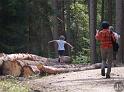 Kellerwald (39)